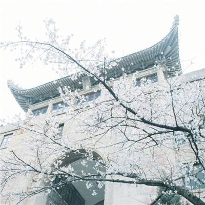黑龙江省“寒地龙药”产业实现优化升级